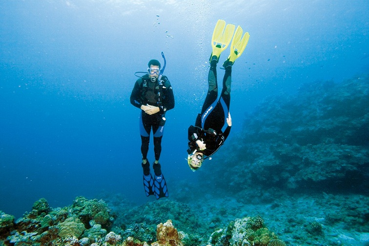 Froggies Divers Lembeh